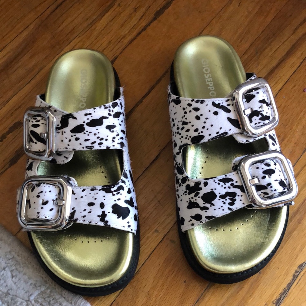 Gioseppo slides pony